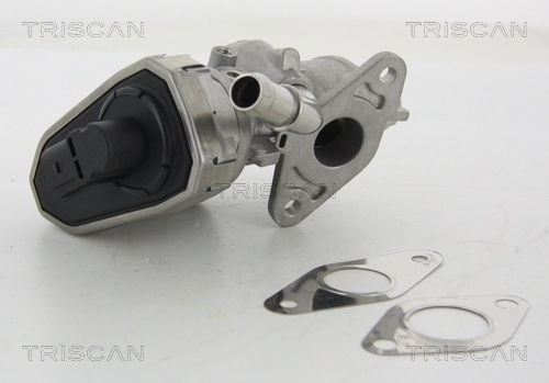 881316100 Triscan
