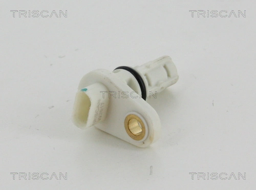 885524139 Triscan