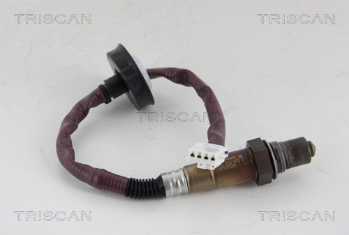 884510013 Triscan