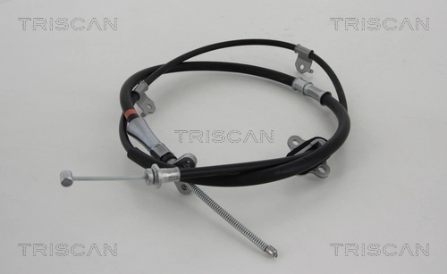 8140131241 Triscan