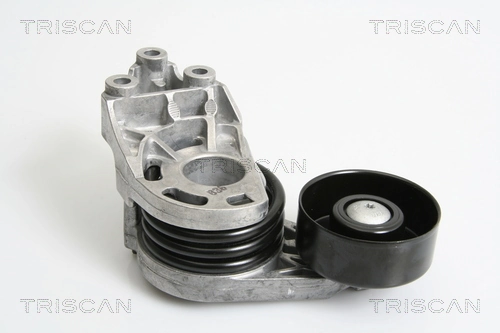 8641293027 Triscan