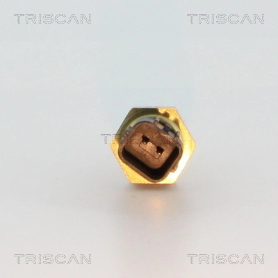Sensor de temperatura 1830299 Facet