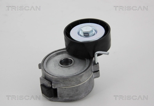  Tensor de correa poli V Citroen C5 3