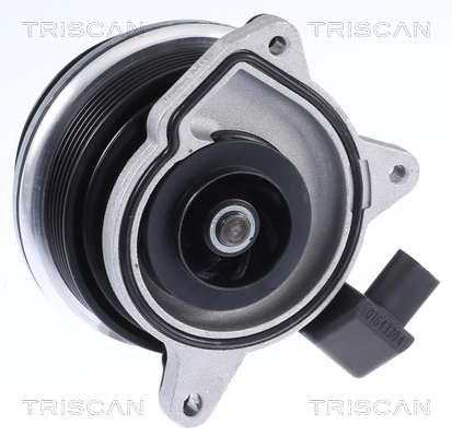 860029062 Triscan Bomba refrigerante coche