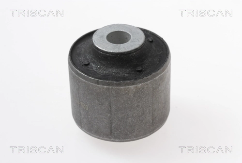 8500298052 Triscan