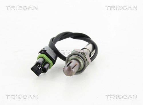 884525048 Triscan