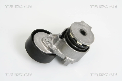 Tensor de la correa trapecial poli v Renault Kangoo I