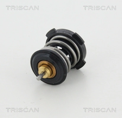 Termostato refrigerante Skoda Octavia IV A8
