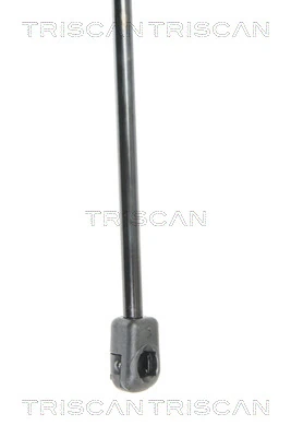 Comprar 2034523 Doga Amortiguador de puerta trasera