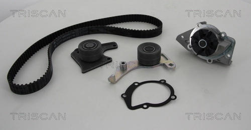 Comprar 254705116301 Tata Kit de correa de distribución