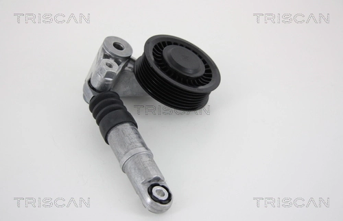 8641293032 Triscan