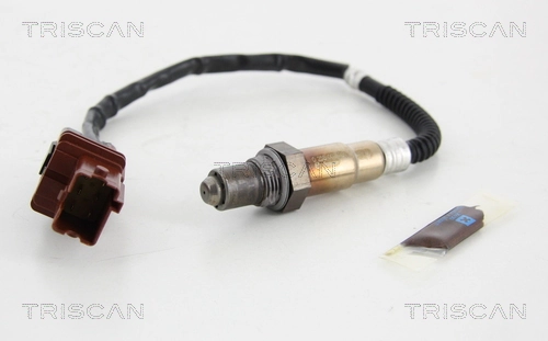 884568004 Triscan