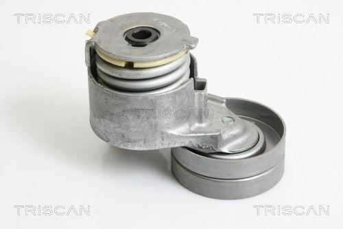 8641103027 Triscan
