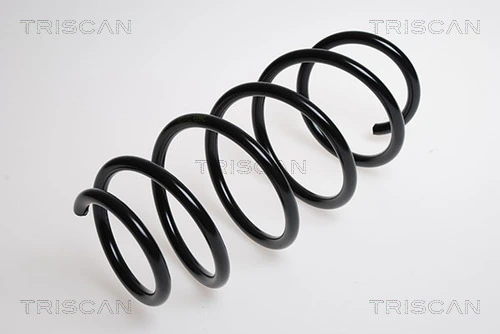 875016018 Triscan