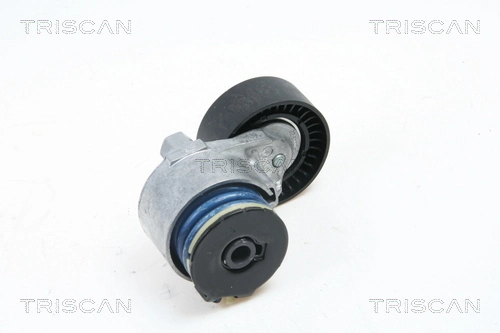 8641103013 Triscan