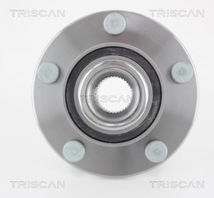 Buje de rueda delantero 713615760 INA