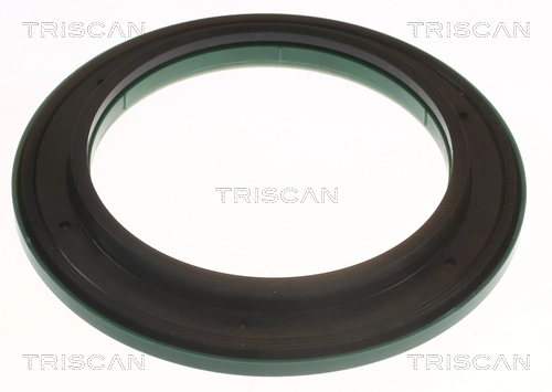 850040915 Triscan