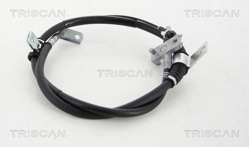 814044119 Triscan