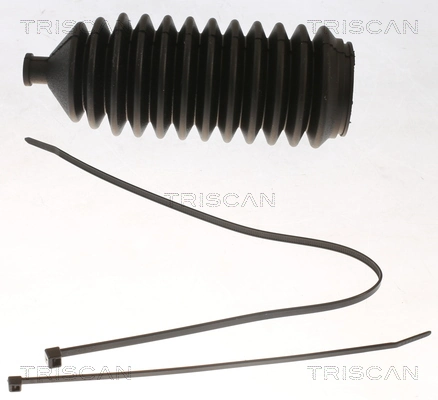850069001 Triscan