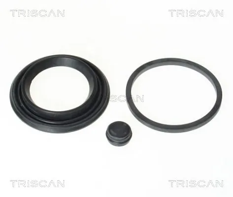 8170204802 Triscan