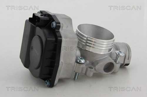 Cuerpo de aceleración completo Citroen Nemo furgoneta (2009 - 2026) precio, desde 55,18 EUR