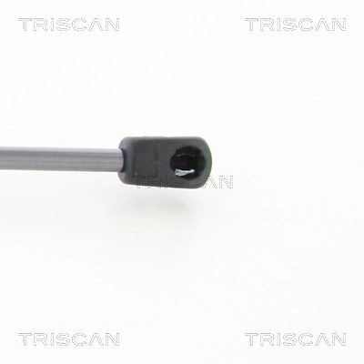 871018241 Triscan