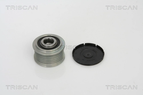 8641234006 Triscan