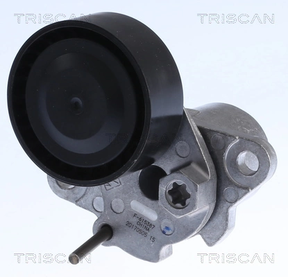 8641293054 Triscan