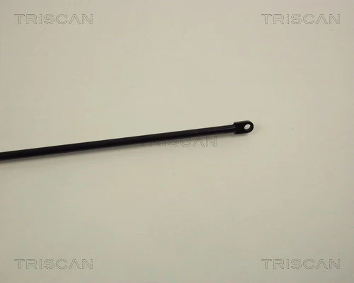 Muelle neumático, tapa delantera Audi 100 C2 sedán (43) (1976 - 1982) precio, desde 16,27 EUR