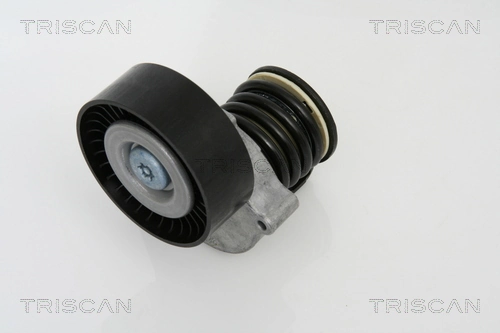 8641233007 Triscan