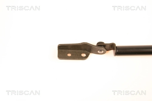 Amortiguador de porton para Nissan Almera I N15