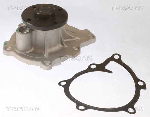 860042021 Triscan