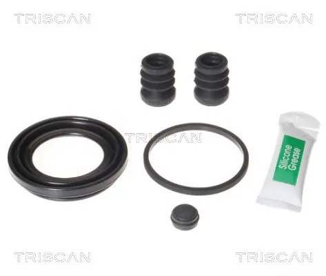 8170205209 Triscan