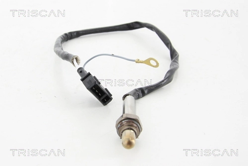 884529124 Triscan