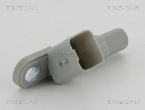 885510117 Triscan