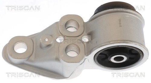850029863 Triscan