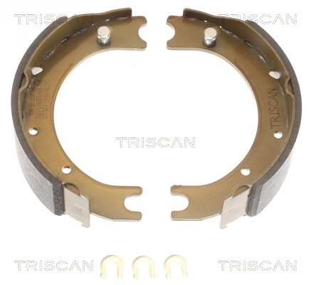 810013036 Triscan