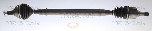 8540296068 Triscan