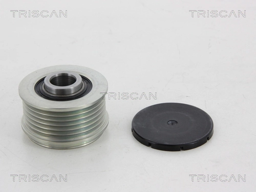 Polea de alternador para Hyundai Santa Fe III (DM)