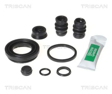 8170203419 Triscan