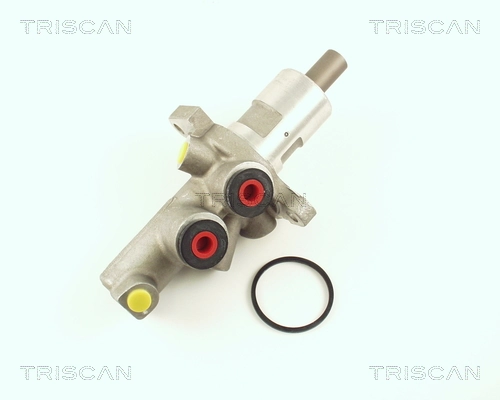 813023101 Triscan
