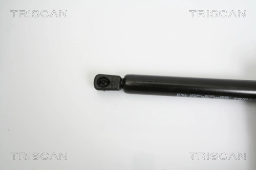 Amortiguador de maletero Mercedes B monovolumen (W245) (2005 - 2011) precio, desde 13,36 EUR