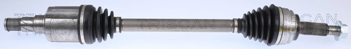 854081504 Triscan