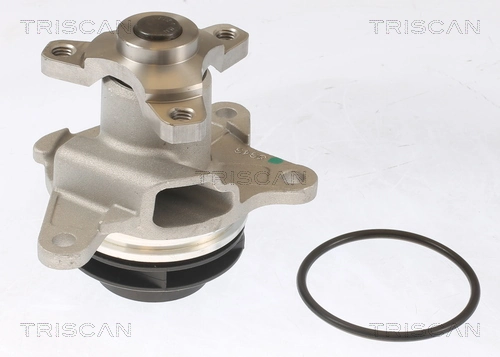 860010086 Triscan