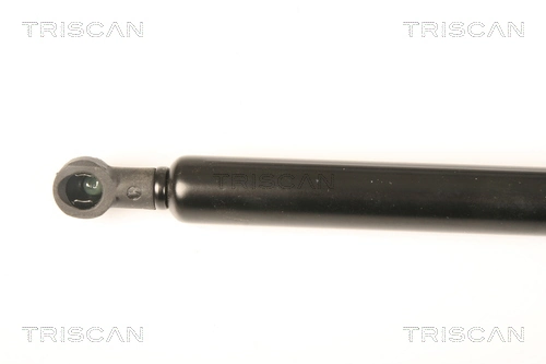 Amortiguador de porton para Renault Laguna III BT0, BT1