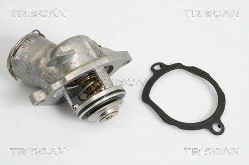 8620236100 Triscan