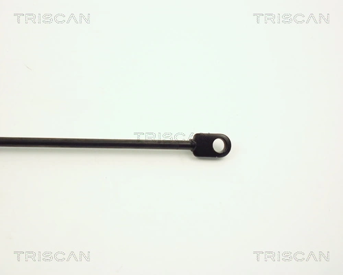 Muelle neumático, tapa delantera Montcada RBM008 precio, desde 9,53 EUR