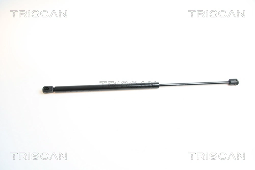 Amortiguadores de maletero Nissan Almera II (N16)
