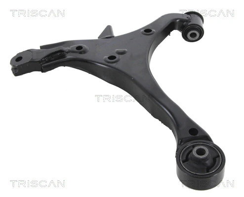 850040538 Triscan