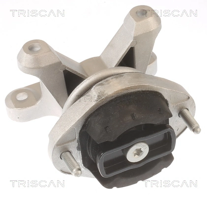 850529202 Triscan